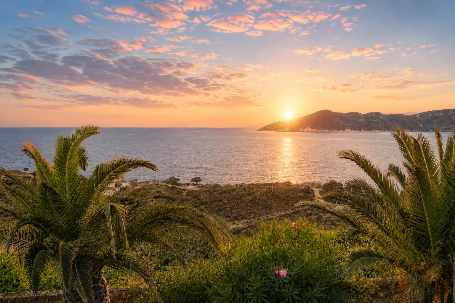 Sunrise over the Aegean Sea framed by palm trees, Villa Viktoria, Skiathos