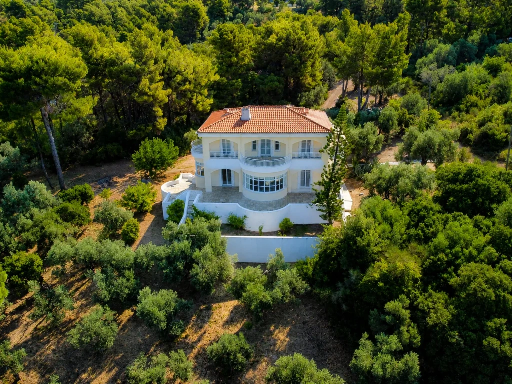 Aerial view of AERON nestled in mature pine and olive gardens, Pounta, Skiathos